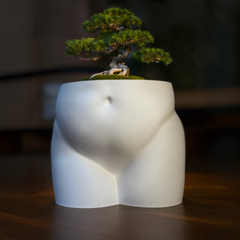 Butt Planter – Modern Sculptural Plant Pot